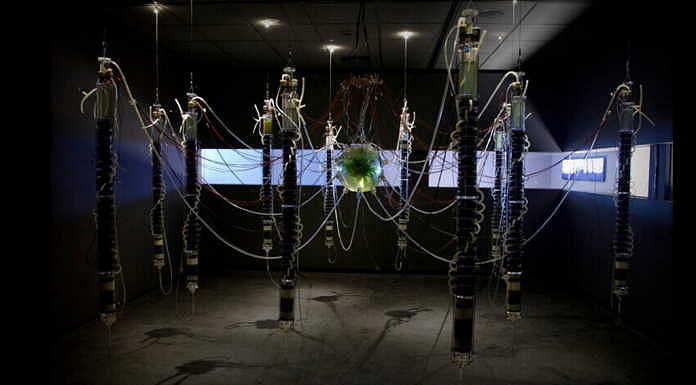 Exposición Cultivos de Gilberto Esparza