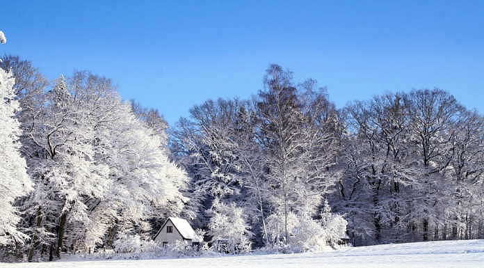 Consejos de seguridad eléctrica para las fiestas decembrinas