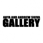 The Anya and Andrew Shiva Gallery