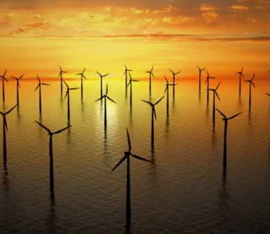 Urge trabajo en equipo en México, entre población y gobierno para ser ciudad verde