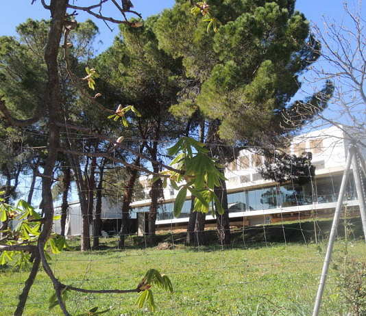 CALL FOR PROJECTS eme3_2016 “CONTINGENCIA Y PRAXIS” : Photo © Eme3