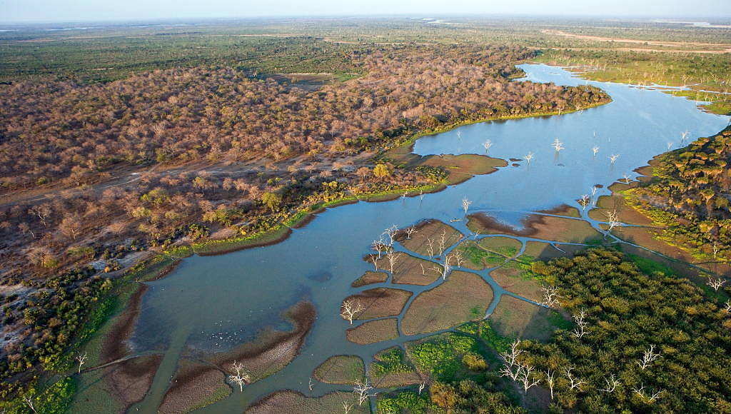 Aerial view of Rufiji River, Selous Game Reserve, Tanzania. The Rufiji River and its tributaries, the Great Ruaha, Kilombero and Luweg Rivers, make up the largest river system in East Africa : Photo © Michael Poliza / WWF