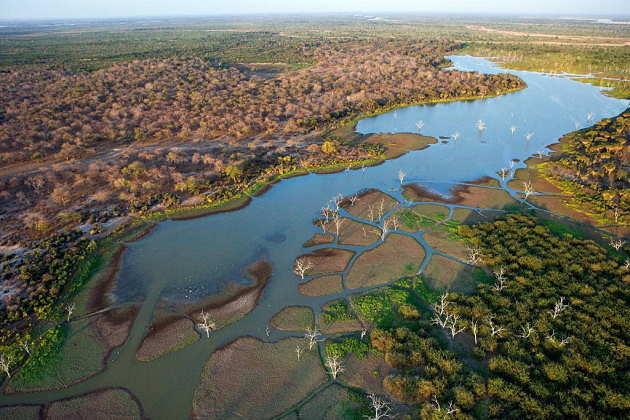 Aerial view of Rufiji River, Selous Game Reserve, Tanzania. The Rufiji River and its tributaries, the Great Ruaha, Kilombero and Luweg Rivers, make up the largest river system in East Africa : Photo © Michael Poliza / WWF
