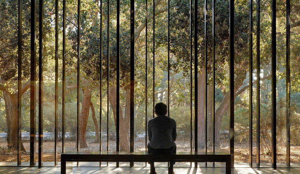 The space opens to the oak glade beyond, extending the visitor’s experience into the landscape : Photo credit © Matthew MIllman