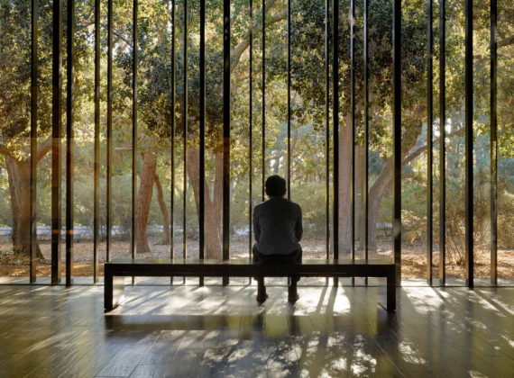 The space opens to the oak glade beyond, extending the visitor’s experience into the landscape : Photo credit © Matthew MIllman