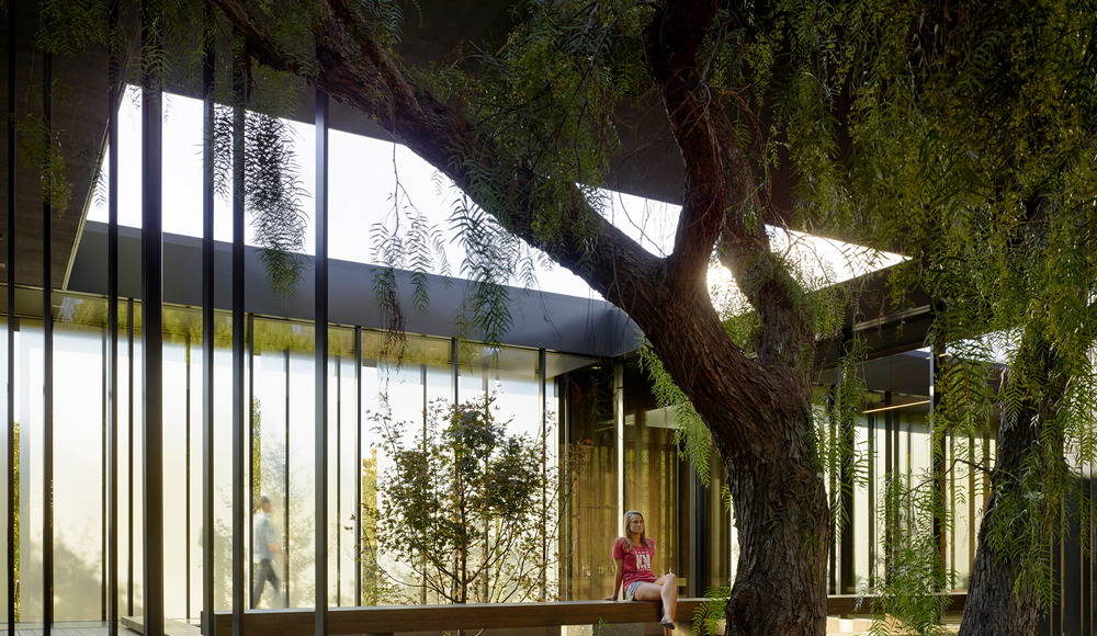 Lifted two feet from the ground with strategically placed benches along its length, the courtyard provides visitors the ability to experience the adjacent oak grove within the protection of the three-sided courtyard : Photo credit © Matthew Millman