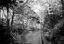 LIGA: Ciclo de Interludios de tres | Sam Auinger Ciclo de Interludios de tres| Sam Auinger : Fotografía cortesía de © LIGADF