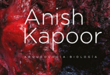 Exposición Anish Kapoor "Arqueología, Biología" : Fotografía cortesía del © Museo Universitario de Arte Contemporáneo