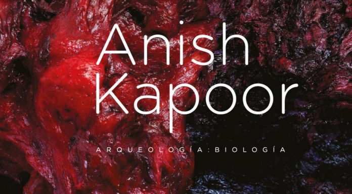 Exposición Anish Kapoor "Arqueología, Biología" : Fotografía cortesía del © Museo Universitario de Arte Contemporáneo
