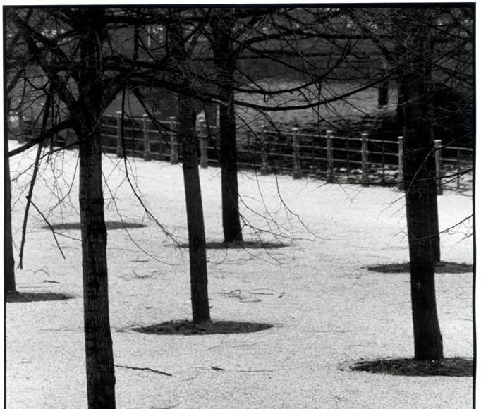 Fotografías Annette y Angela, Berlín, 1982 : Photo © Sybille Bergemann