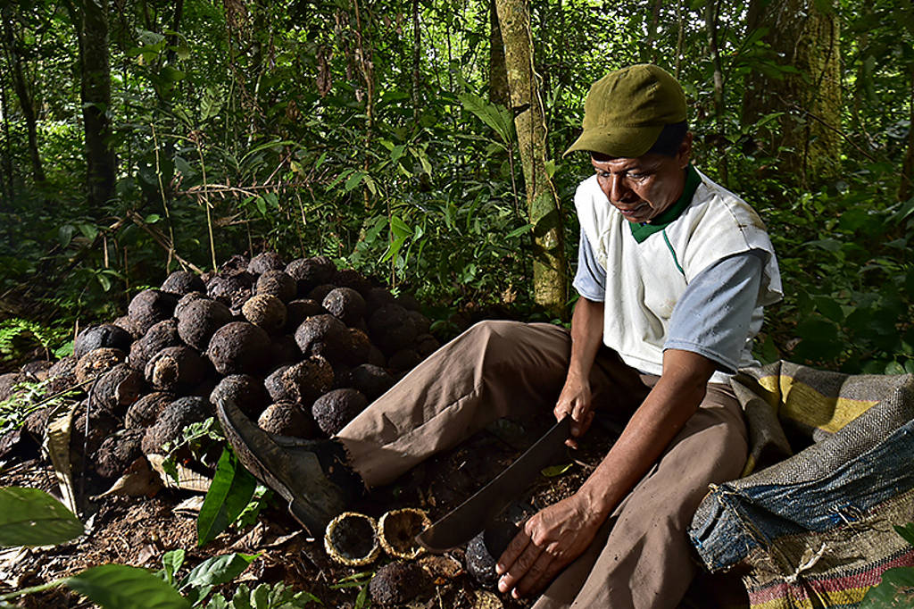 WWF Iniciagiva Amazonia Viva : Photo © Adriano Gambarini / WWF