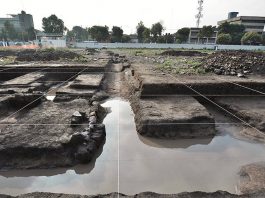 Excavación extensiva de chinampas y canales de la época prehispánica en el predio Lorenzo Boturini : Foto © Archivo del proyecto DSA-INAH