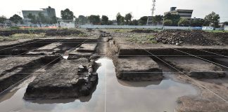 Excavación extensiva de chinampas y canales de la época prehispánica en el predio Lorenzo Boturini : Foto © Archivo del proyecto DSA-INAH