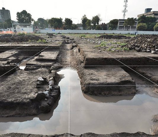 Excavación extensiva de chinampas y canales de la época prehispánica en el predio Lorenzo Boturini : Foto © Archivo del proyecto DSA-INAH