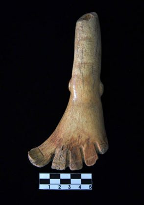 Representación de un pie esculpido en un fémur humano : Foto © Archivo del proyecto DSA-INAH