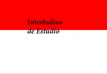 Ciclo de Interludios de Estudio - Casa Danh Vō: Cartel © LIGA