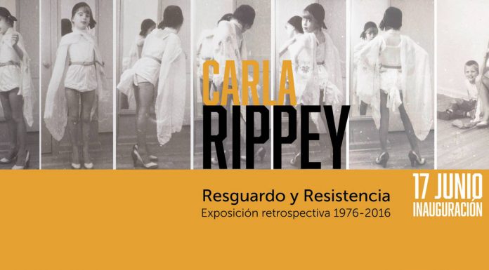 Carla Rippey. Resguardo y Resistencia. Exposición Retrospectiva 1976-2016: Cartel cortesía de © Museo de Arte Carrillo Gil
