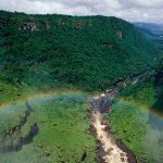 Kaieteur Falls Rainforest, Guyana © Staffan Widstrand / WWF