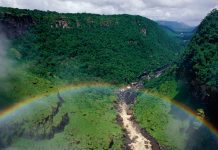 Kaieteur Falls Rainforest, Guyana © Staffan Widstrand / WWF
