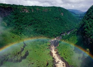 Kaieteur Falls Rainforest, Guyana © Staffan Widstrand / WWF