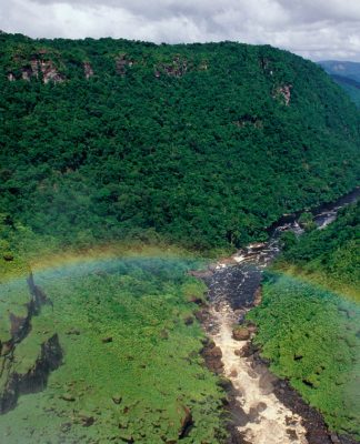 Kaieteur Falls Rainforest, Guyana © Staffan Widstrand / WWF