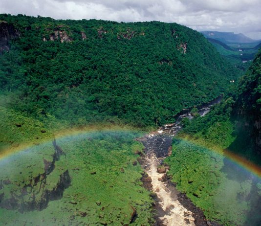 Cooperación regional es crítica para el futuro de la Amazonia Kaieteur Falls Rainforest, Guyana © Staffan Widstrand / WWF