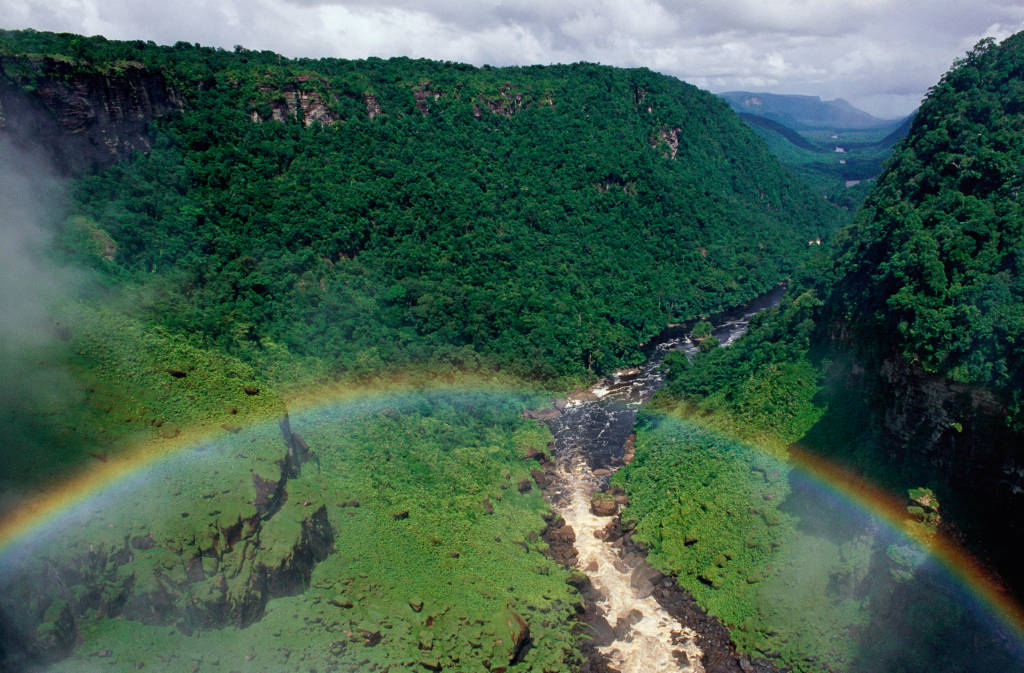 Kaieteur Falls Rainforest, Guyana © Staffan Widstrand / WWF