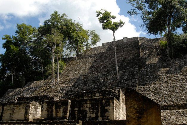 Zona Arqueológica de Calakmul, Campeche : Foto © Julio Bronimann INAH
