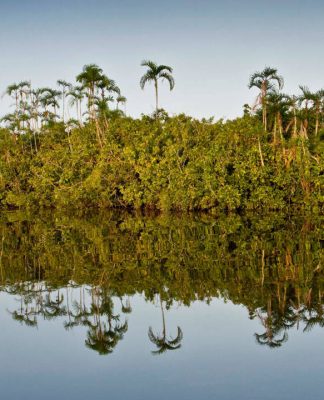 Amazon River, Cuyabeno, Ecuador © Alejandro Polling / WWF-Colombia