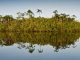 Amazon River, Cuyabeno, Ecuador © Alejandro Polling / WWF-Colombia