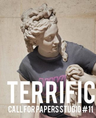 STUDIO #11 TERRIFIC : Poster © Leo Caillard-Hipster in Stone-25