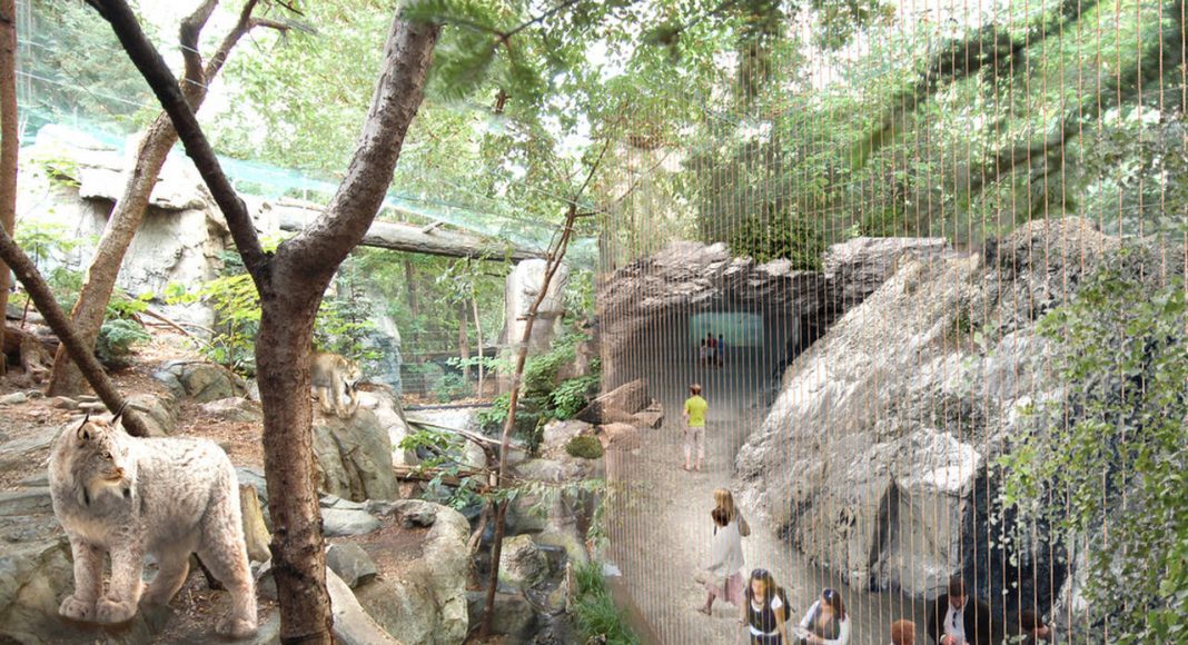 Montreal Biodome Science Museum Laurentian Maple Forest Ecosystem : Photo credit © KANVA