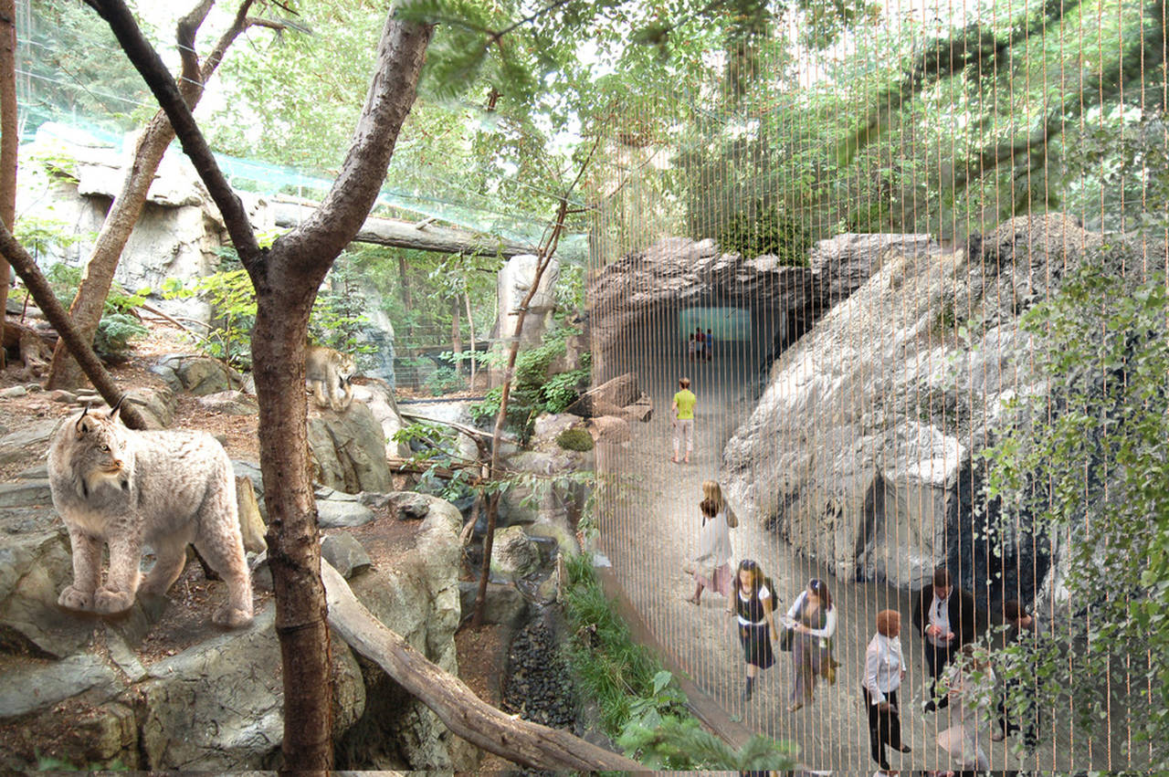 Montreal Biodome Science Museum Laurentian Maple Forest Ecosystem : Photo credit © KANVA