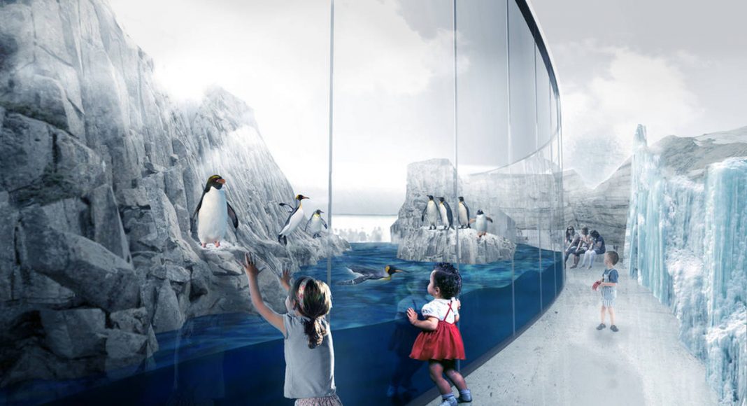 Montreal Biodome Science Museum Subpolar Regions Ecosystems : Photo credit © KANVA