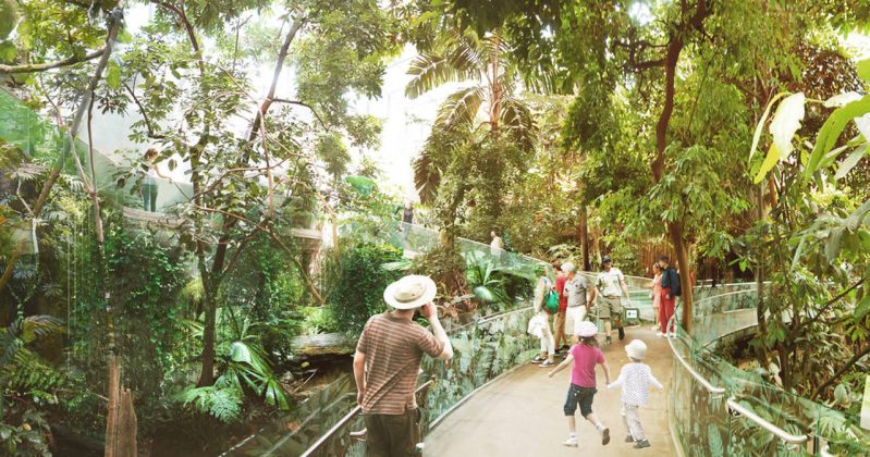 Montreal Biodome Science Museum Tropical Rainforest Ecosystem : Photo credit © KANVA