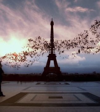 El Estudio Fink presenta el Cortometraje Onirik