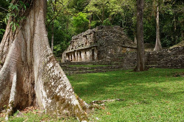 Zona Arqueológica de Yaxchilán : Foto © INAH