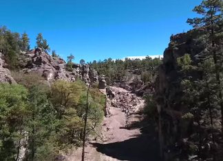 MASISA LAB apoya el proyecto “JOVEN EMPRENDEDOR FORESTAL” MASISA LAB apoya el proyecto "JOVEN EMPRENDEDOR FORESTAL" : Fotografía © MASISA