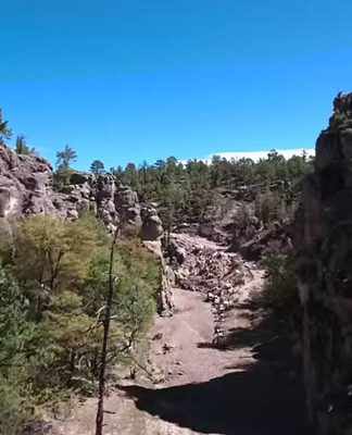 MASISA LAB apoya el proyecto "JOVEN EMPRENDEDOR FORESTAL" : Fotografía © MASISA