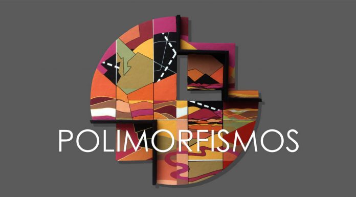 Polimorfismos de Valentina Olmedo : Poster © Fundación Sebastián A. C.