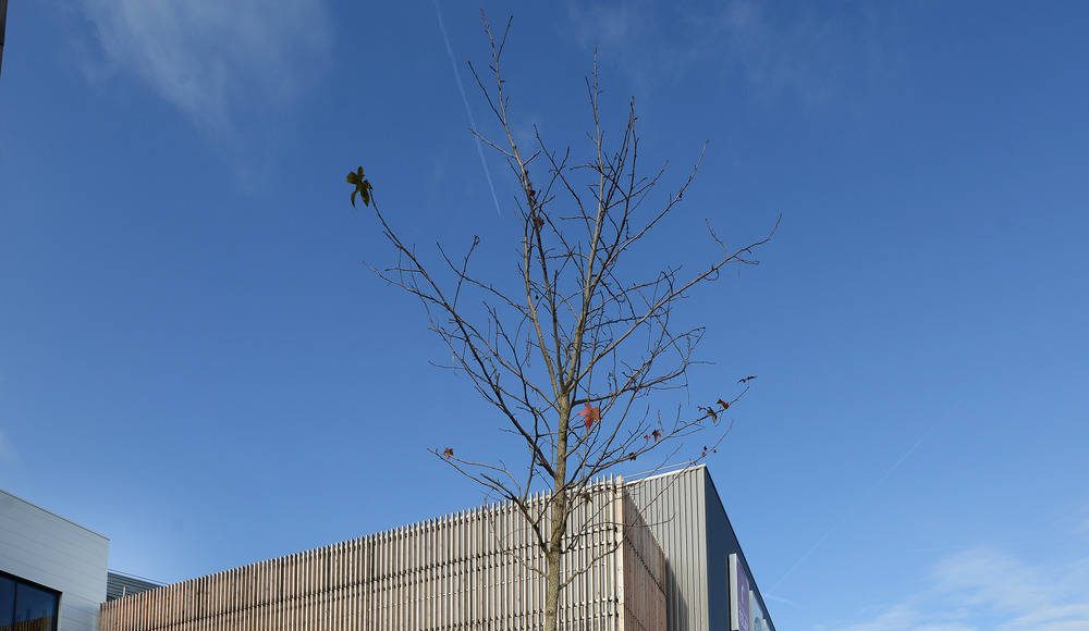 Centro Comercial y Parque Recreativo Les Saisons por Arte Charpentier Architectes : Photo credit © Epaillard+Machado