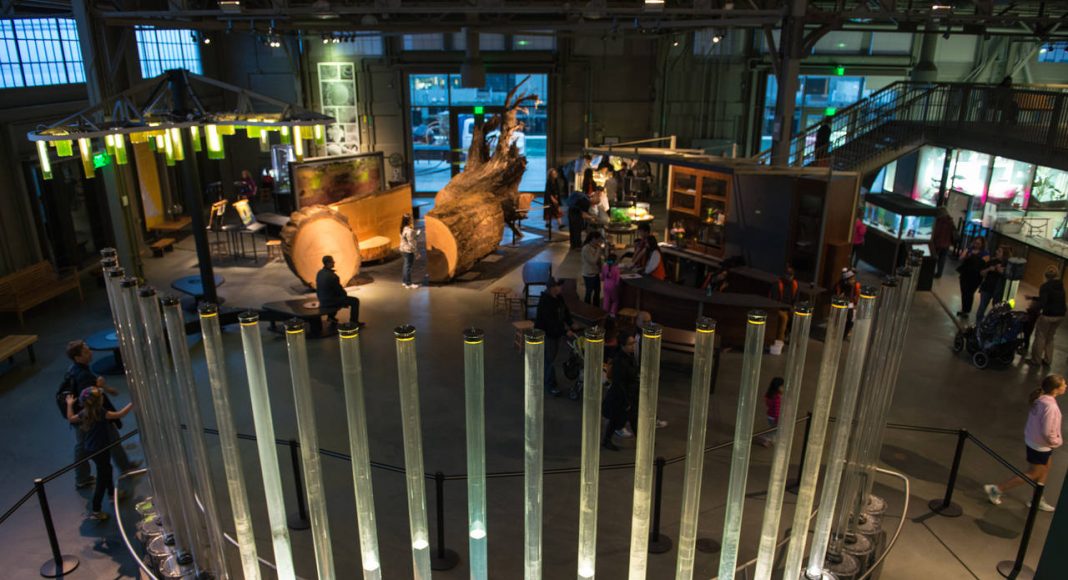 La Galería East Gallery vista desde arriba con la exposición Tidal Memory como fondo, Algae Chandelier a la izquierda y el Tree Experience en el centro : Image by Gayle Laird © Exploratorium, www.exploratorium.edu