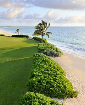 OHL Classic at Mayakoba PGA TOUR México : Photo © OHL Classic at Mayakoba
