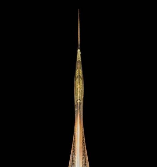RMJM trabajará en la última torre icónica de Emaar Properties en Dubai : Render © RMJM