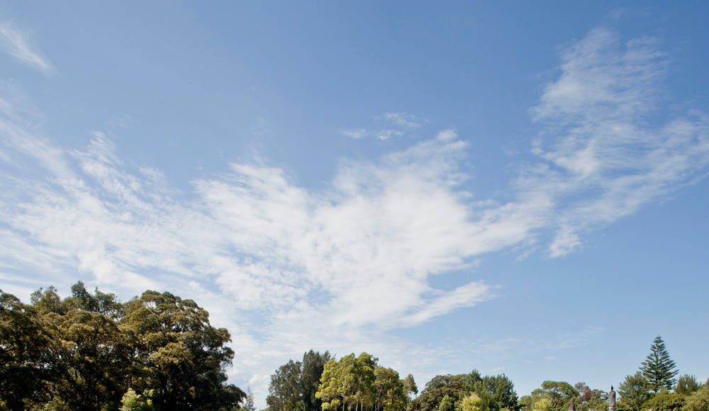 Turf Design Studio & Environmental Partnership with Alluvium, Turpin + Crawford Studio, Dragonfly Environmental and Partridge – Sydney Park Water Re-use Project : Photo credit © Simon Wood