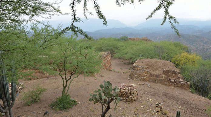El Valle de Tehuacán-Cuicatlán podría convertirse en Patrimonio Mundial En su conjunto los sitios arqueológicos hablan de una larga historia de ocupación humana : Foto © CONANP