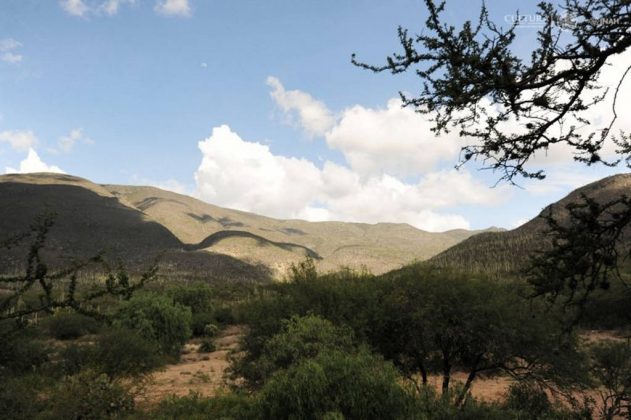 Se ubica en los estados de Puebla y Oaxaca : Foto © Mauricio Marat INAH