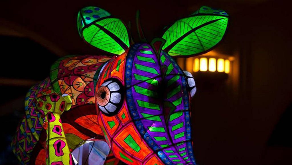 Alebrijes Iluminados en el Museo de Arte Popular (MAP) : Fotografía cortesía de la © Secretaría de Cultura de México