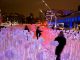 Entre les rangs, Place des Festivals, Quartier des Spectacles, Montreal : Photo credit © Martine Doyon