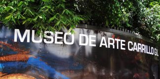 Con cuatro Magnas Exposiciones cierra el año el Museo de Arte Carrillo Gil : Fotografía © CONACULTA